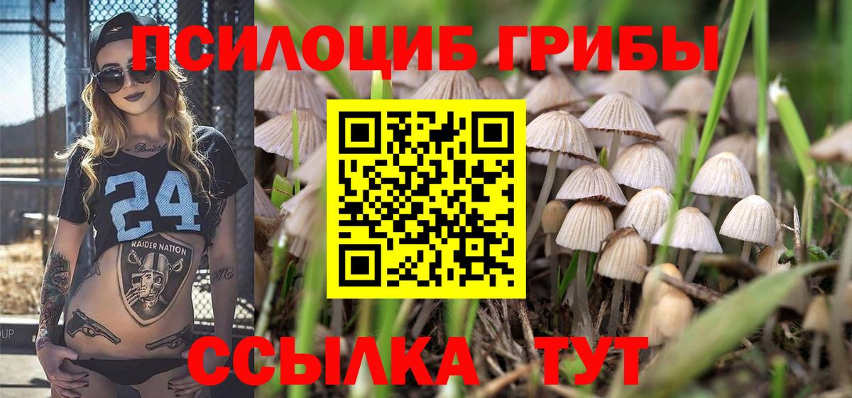 Галлюциногенные грибы Cubensis  Галлюциногенные грибы Magic Shrooms  Вход с VPN  Сызрань 